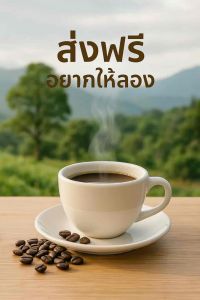 Alphano Coffee เมล็ดกาแฟคั่วดอยปางขอน เชียงราย อาราบิก้า100% คั่วสดใหม่