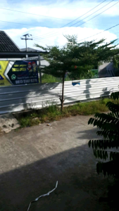HIGH PRO DOSIS TINGGI PAKAN HARIAN DAN LOMBA LOVEBIRD