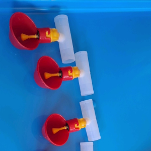 Cup Automatic Federer 1 pc to 10 pcs Cup Automatic Federer 1 pc to 10 pcs