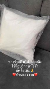 ไส้หมอนอิง ปลอกหุ้มสีครีมหรือขาว อัดใยสังเคราะห์ ขนาด 16x16 นิ้ว หรือ ขนาด 40x40 ชม. *กรุณาอ่านรายละเอียดก่อนกดสั่งชื้อ