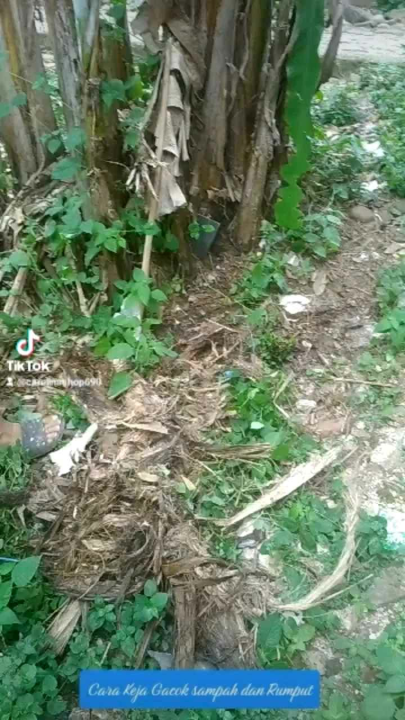 Garuk Gacok Sampah Besi Super Kokoh Alat Berkebun