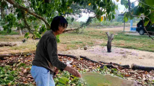 Selang Plastik 11/2in (Lebar 8 cm) & Selang Pengganti Sunny Hose untuk Irigasi Sawah