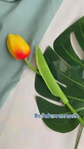 🐪Came* เสื้อเชิ๊ตsizeM/แขนสั้น/ อก45-46 สินค้าพร้อมส่งจากไทย