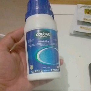 FUNGISIDA CAUGAR 200/60 SC b.a azokstrobin 200 g/l + Soprokonazol 80 g/l