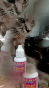 VITAMIN KUCING GEMUK DAN BULU RAHASIA SANG JUARA cair 30ml
