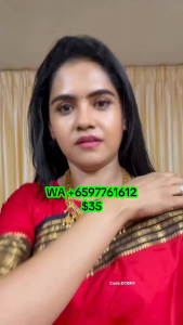 SG Ready Stock - Celebrity Rashmika Madana inspired Saree Collections