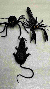 Đồ Chơi Chuột Cao Su