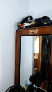 SIKAT KAYU MURAH IS 12 pcs Murah Grosir