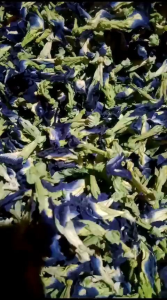 bunga Telang kering 250gram Bknus Lemon Kering