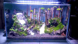 tebing air terjun aquarium aquascape