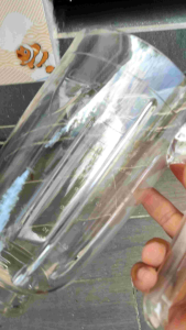 Gelas Jus Blender Cosmos CB281 CB282 CB812 CB832