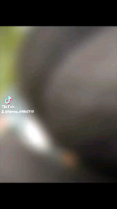 Cover Ban Pelindung Ban Penutup Ban Mobil Aksesoris Eksterior Mobil Variasi Rush