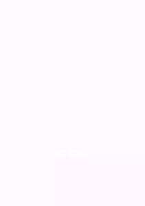 Voucher Axis Kosongan 8 Dus 32000 SN Expired 2027