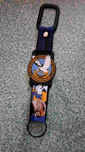 Eagles Key Holder