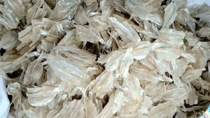 Ikan Asin Kalapan/Pakang Asli Tawar Tipis Kerupuk Kualitas Premium