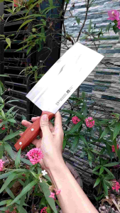 Dao chặt gà vịt hàng Nhật nặng 450g cán gỗ