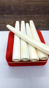 Once padutan tulang sapi model segi enam