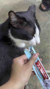 ขนมแมวเลีย TORO 1 ซอง 15 กรัม ไม่เติมเกลือ เพื่อสุขภาพที่มีประโยชน์ต่อน้องแมวที่คุณรัก  ขนมแมว แมวเลีย