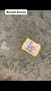 AMPUH RACUN KECOAK MATI SAMPAI KETELORNYA