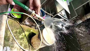 Semprotan Air Kuningan: Desain Tradisional & Penggunaannya