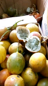 Buah Markisa Madu Konyal 500gr Manis: Manfaat dan Cara Mengonsumsi