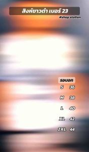 🌈เสื้อกีฬา🌈 คอวี แขนสั้น ลายสิงห์ เบอร์ 23 มี 6 สี ใส่ได้ทั้งชายและหญิง