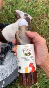 ซื้อ1ขวด39บ.จ๊ะแชมพูสุนัขและแมวครีมอาบน้ำสัตว์เลี้ยงออร์แกนิคสกัดจากพืชมะพร้าวลดอาการคันเชื้อราขนาด350mlpat coconut shampoo