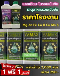 ชุด 4 แถม 4 สุดคุ้ม (ปุ๋ยธาตุรวม VAMAX + CABMAX แคลเซียมโบรอน) ปลอดภัยขึ้นทะเบียนจากกรมวิชาการเกษตรอย่างถูกต้อง