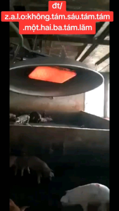 ĐÈN SƯỞI GAS BÌNH  VÀ BIOGAS LOẠI ĐẠI - 0868812385