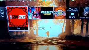 PS4 Games depende sa laro Preloved 500 GB Hdd external Pkg format with bd jb