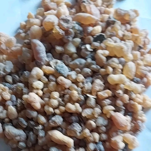 MENYAN ARAB ASLI Kemenyan LUBAN Super Impor Berat 50Gram