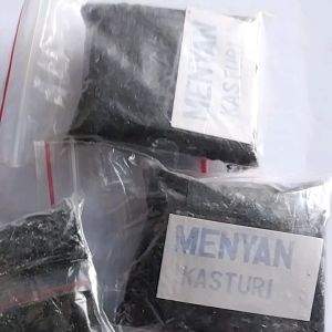 Kemenyan Hitam Kasturi Madat Kemenyan: Panduan Lengkap