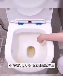 Duer Toilet/Bathroom Spray/Mold Stain Remover/Liquid Bathroom Cleaner/Pencuci Bilik Air/Tandas