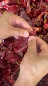 พริกหยวก พริกแห้งเม็ดใหญ่ พริกแห้งไม่เผ็ด ขนาด 200 กรัม(หยวก200) พริกแห้ง พริกหยวกแห้ง - Lazada