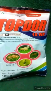 Insektisida TOPDOR 10 WP (100"gr) Basmi Wereng Belalang Kutu Thrips Lalat dll