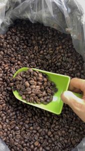 Cà Phê hạt Robusta rang xay mộc nguyên chất gói 500g