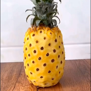 Pineapple Peeler Eye Stainless Steel Remover Tweeze/Knife Peeled