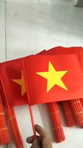 Cờ cầm tay Việt Nam