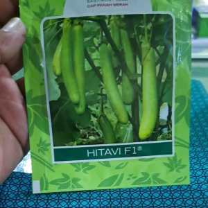 Beninh Terong Hijau HITAVI F1 Isi 1.100 Butir Cap Panah Merah