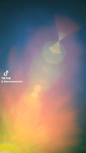 Shift knop perseneling variasi universal motif TULIP 30CM