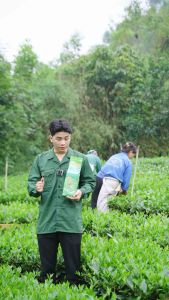 CHÈ MÓC CÂU -TÂN CƯƠNG THÁI NGUYÊN (1kg-2 túi 500)_ Tăng kèm túi xách