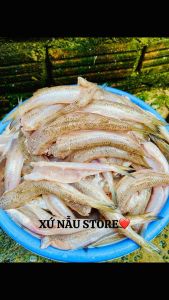 Cá mối tẩm vị xứ nẫu thịt mềm ngọt bao ăn bì 500gr1kg