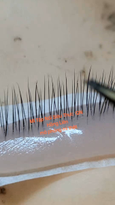 Mi tập nối siêu thực 3 lớp mi #mitapnoisieuthuc#mitapnoidatang#mitap