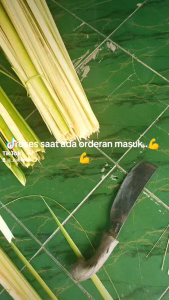Obral Jual Daun Kelapa Muda Segarbahan Ketupat Lebaran & Janur 50 Lembar