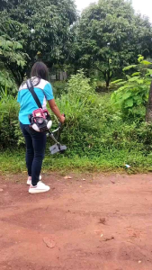 เครื่องตัดหญ้า 4 จังหวะ honda รุ่น Gx 35