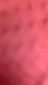 HIJAB SEGIEMPAT POTTON STAR PAYET BUNGA//KERUDUNG SEGI EMPAT RUBICON PAYET BUNGA LACER CUP PREMIUM//JILBAB RUBICON PAYET BUNGA SWAROVSKY