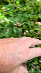 Tutup Lubang Biopori Kanba