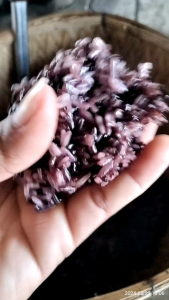 ข้าวเหนียวดำตราเด็กหัวจุก#ข้าวใหม่มาเเล้วน๊าๆๆๆ แพ็คสูญญากาศอ่อนนุ่มโปรมาแรงตอนรับลมหนาว1กล่อง10แพ็คราคาเพียง680บ.เท่านั้น