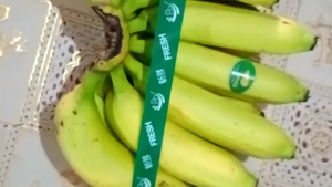 Buah Pisang Cavendish Premium 1 Kg