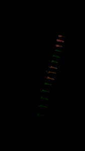 SABIKI KOTREKAN RAWAI MANDAS GLOW IN THE DARK